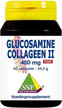 SNP Glucosamine collageen type ii puur
