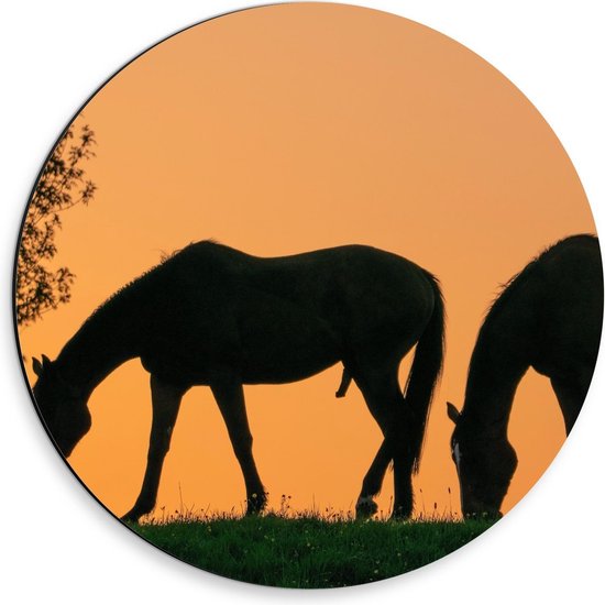 Dibond Wandcirkel - Silhouet van 2 Grazende Paarden - 30x30cm Foto op Aluminium Wandcirkel (met ophangsysteem)