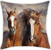 Paarden sierkussen/bankkussens 40 x 40 cm - Dieren - Woonkamer/kinderkamer accessoires woondecoraties