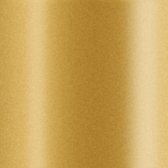 48x Metallic gouden dinerkaarsen 25 cm 8 branduren - Geurloze kaarsen goud - Tafelkaarsen/kandelaarkaarsen