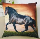 Kussenhoes 45x45 cm - Paarden - Paard 1