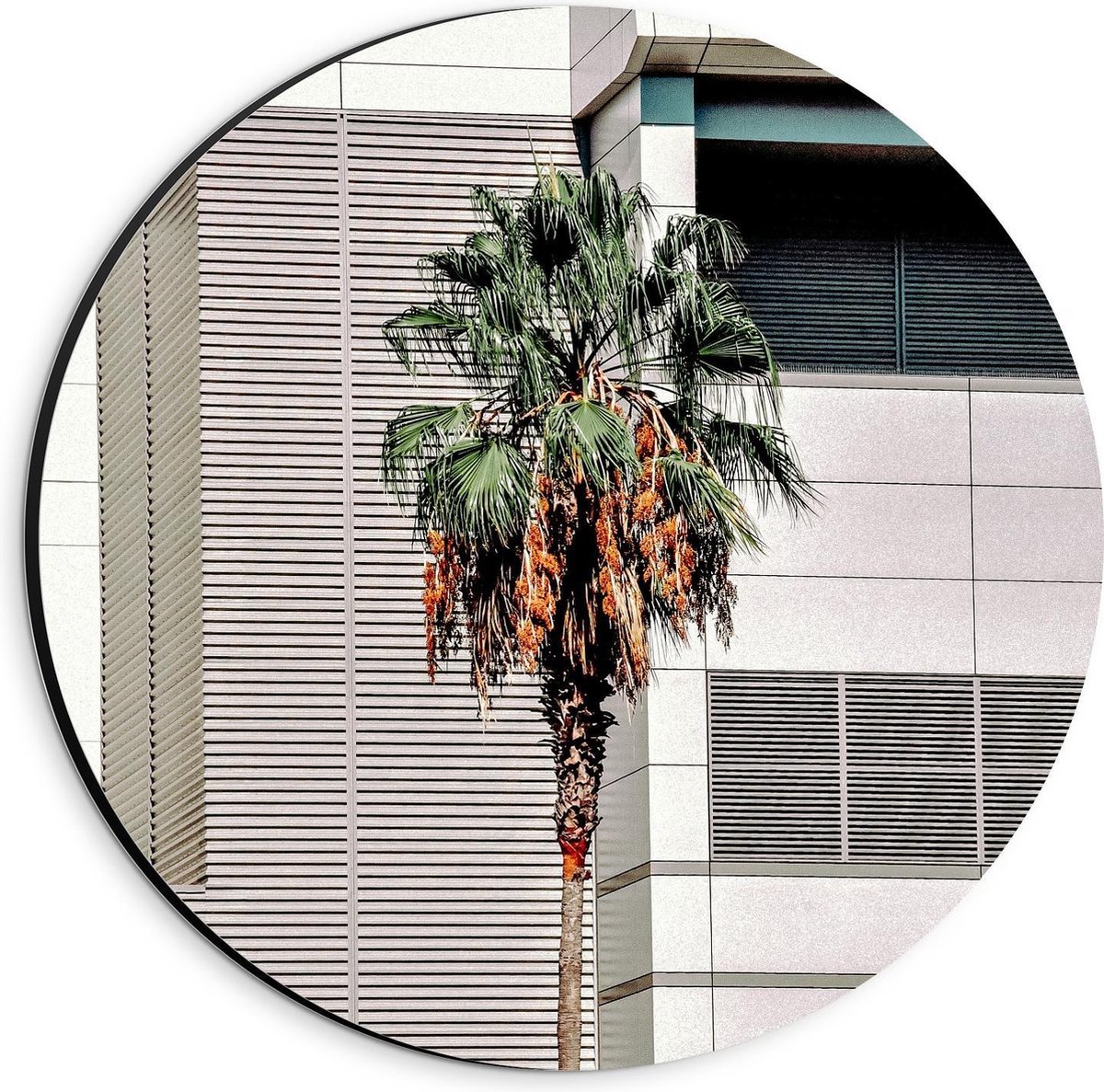 Dibond Wandcirkel - Palmboom voor Gebouw - 20x20cm Foto op Aluminium Wandcirkel (met ophangsysteem) op Prijzenvolger.com
