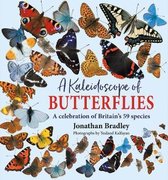 A Kaleidoscope of Butterflies