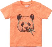 Dirkje E-PANDA Baby Jongens T-Shirt - Maat 62