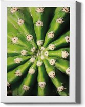 Walljar - Cactus Close Up - Muurdecoratie - Poster