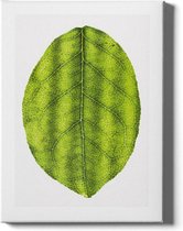 Walljar - Leaf - Muurdecoratie - Canvas schilderij