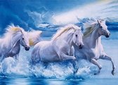 Lynbis® Diamond Painting Volwassenen - Diamond Painting Kinderen - Volledig Pakket - 30 x 40cm - Ronde Steentjes - Paarden