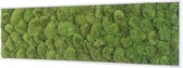 Stylegreen Verticale tuin - Pole moss - 140 x 40cm