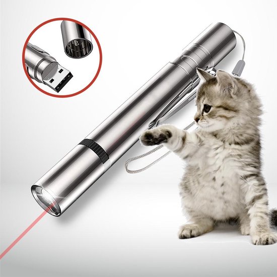 geur genoeg Overblijvend Achaté USB Laserpen - Kattenspeelgoed - Laserlampje - Rode Laser | bol.com