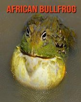 African Bullfrog