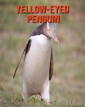 Yellow-Eyed Penguin