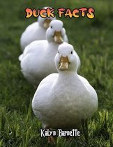 Duck Facts