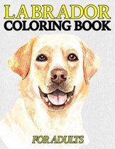 Labrador Coloring Book For Adults