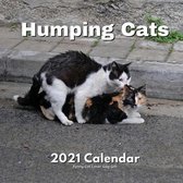 Funny Humping Cats Lover Gift