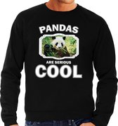 Dieren pandaberen sweater zwart heren - pandas are serious cool trui - cadeau sweater panda/ pandaberen liefhebber L