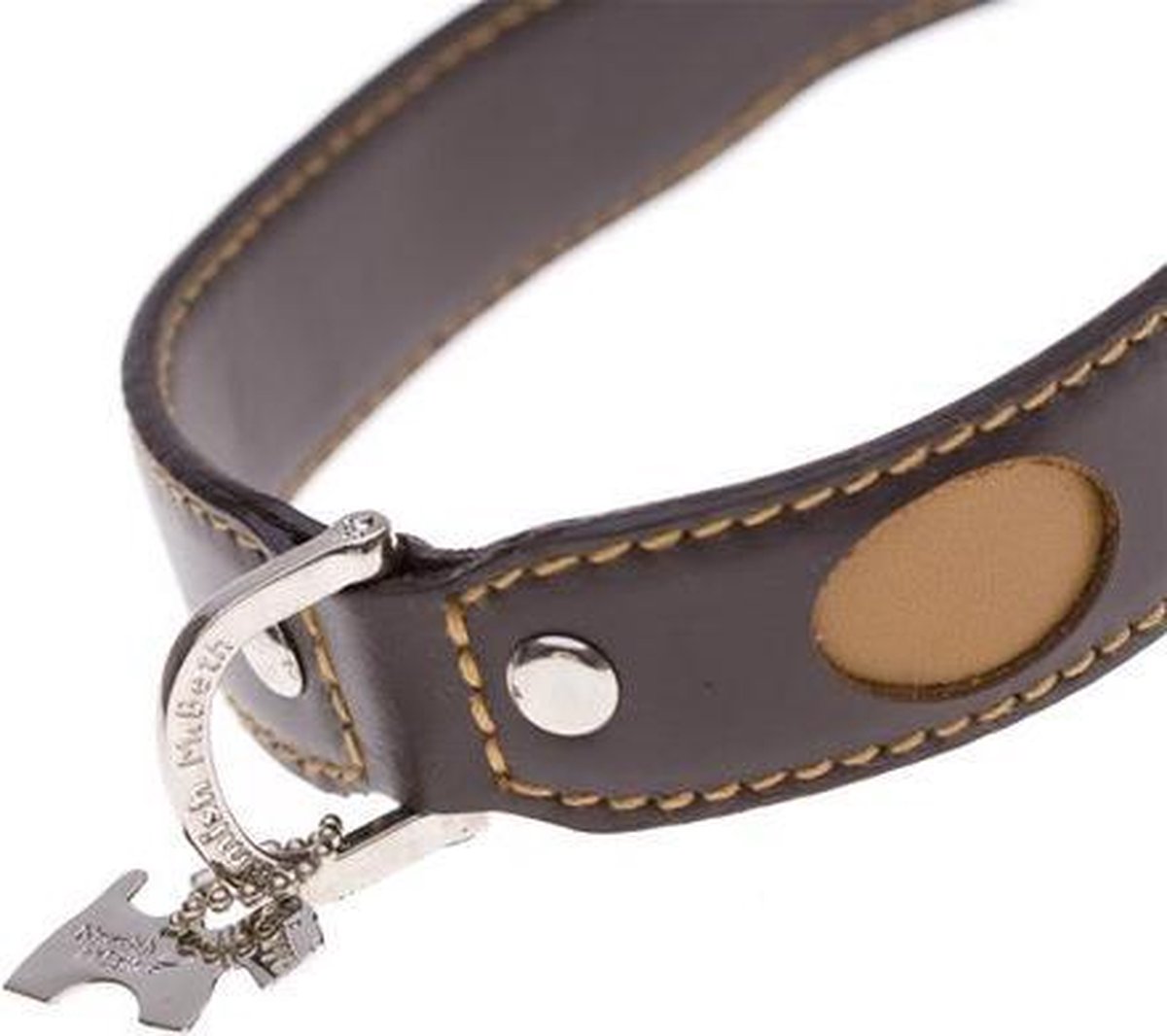 Halsband voor de hond Chester halsmaat 34-40 cm