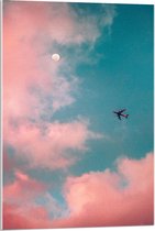 Acrylglas - Vliegtuig Bij De Roze Wolken - 60x90cm Foto op Acrylglas (Wanddecoratie op Acrylglas)