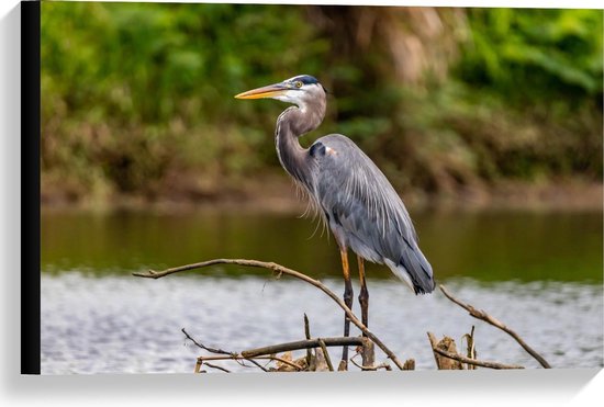 Canvas  - Reiger op Watertak - 60x40cm Foto op Canvas Schilderij (Wanddecoratie op Canvas)