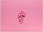 Poster – Roze Druiven op Roze Achtergrond - 40x30cm Foto op Posterpapier