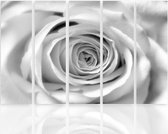 Schilderij , Witte roos , 4 maten , 5 luik , zwart wit , Premium print , XXL