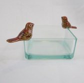Vogelschaal/kaarshouder glas, 12 x 12 x 6 cm