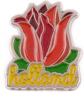 Pin Tulp Holland Zilver - Souvenir