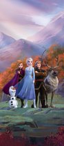 Disney poster Frozen paars, blauw en oranje - 600778 - 90 x 202 cm