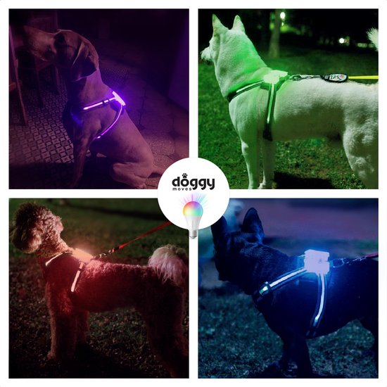 Doggy Moves Hondenharnas Reflecterend Met LED Licht Hondentuig  USB-Oplaadbaar- L | bol.com