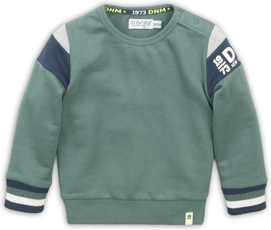 Goneryl Dagelijks vee Dirkje - Baby sweater - Dusty green - Mannen - Maat 56 | bol.com