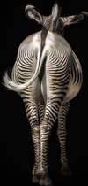Zebra 90 x 60  - Dibond