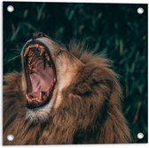Tuinposter – Gapende Leeuw - 50x50cm Foto op Tuinposter  (wanddecoratie voor buiten en binnen)