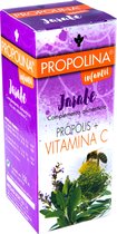 Artesania Propolina Infantil 150ml