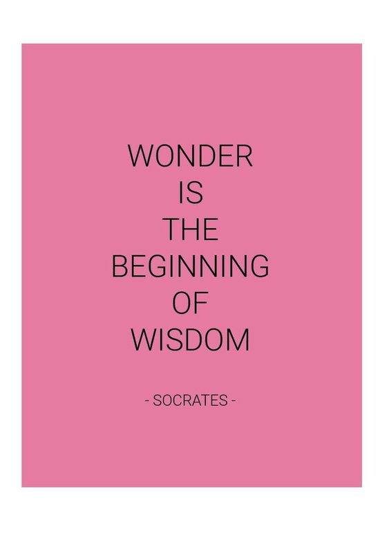 Foto: Planner agenda roze 52 weken hardcover elastiek lifestyle werkplanner studie harde omslag mooi cadeau