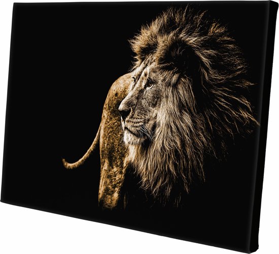 Canvasdoek - Schilderij - Leeuw Lion Aan De Muur Natuur - Zwart, Bruin En Goud - 100 X 150 Cm
