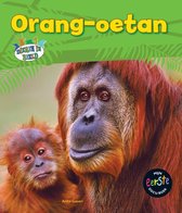Mijn eerste docuboek  -   Orang-oetan