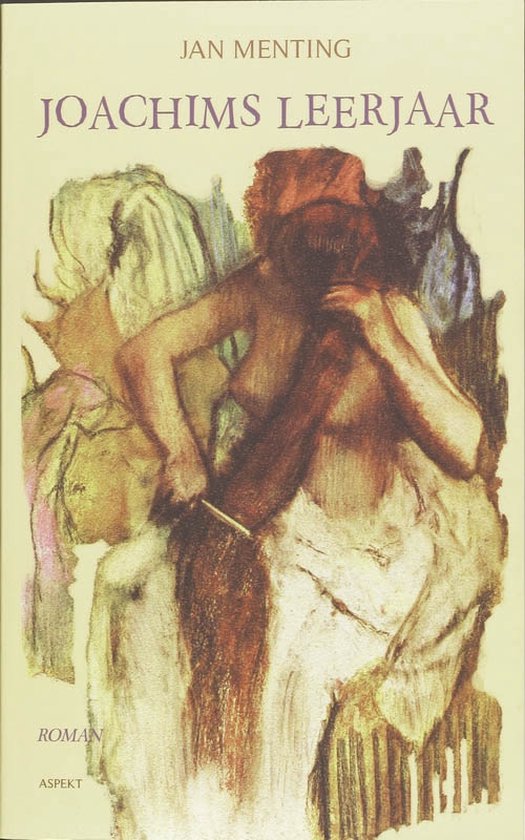 Cover van het boek 'Joachims leerjaar'