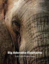 Big Adorable Elephant Full-Color Picture Book