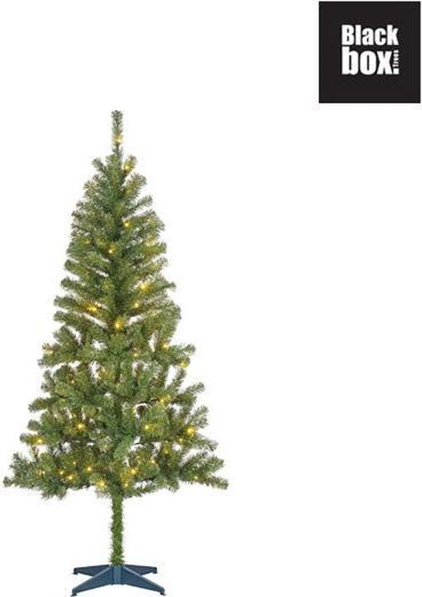 Black Box Trees - Dale kerstboom groen LED - h185xd93cm