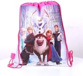 Giftbag / cadeauzak / cadeautas Frozen