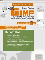 GIMP. Tutorial pratici per Windows, Mac e Linux. Livello 9