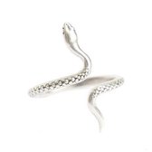 Ring snake silver