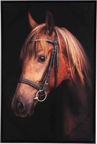 Cosy @ Home Canvas Horse Classic - 60x4,5x(H)90cm