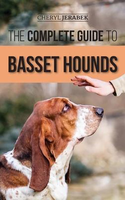 De complete gids voor basset hounds. Een bassethond kijkt naar een hand die boven zijn hoofd zweeft.