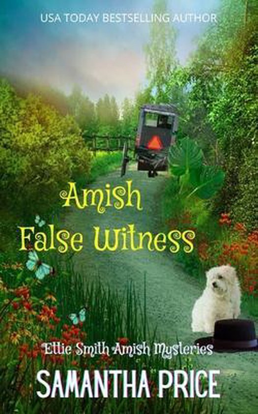 Amish False Witness - cover