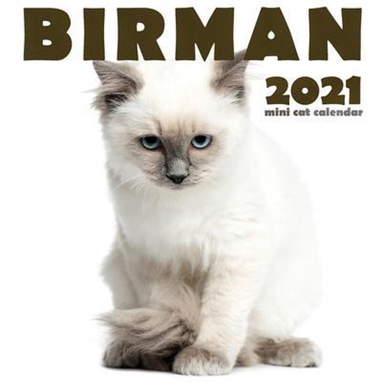 Birman 2021 Mini Cat Calendar, Climbing Wall Cats 9781713902676