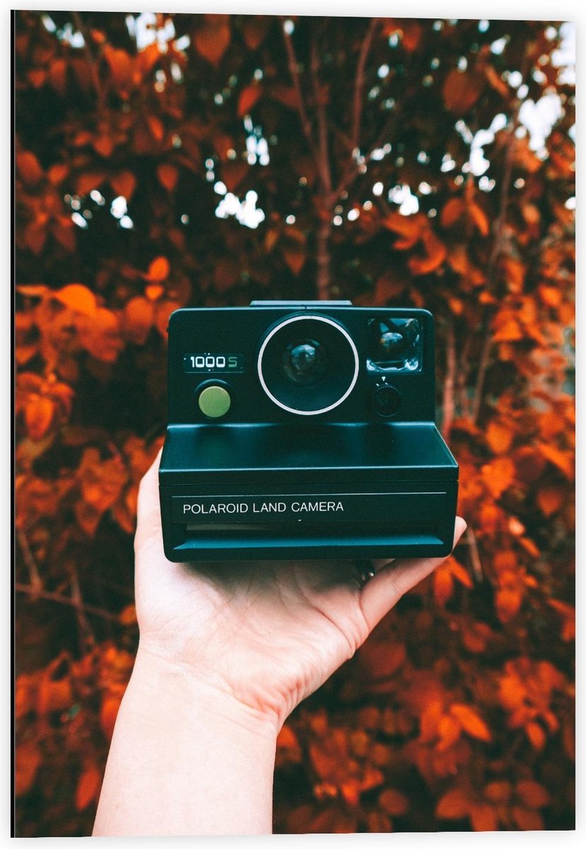 Dibond - Oude Polaroid Camera in Herfstbos - 40x60cm Foto op Aluminium (Met Ophangsysteem)