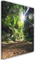 Schilderij Pad door de Jungle, 2 maten, groen/bruin, Premium print