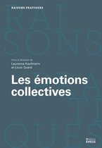 Raisons pratiques - Les émotions collectives