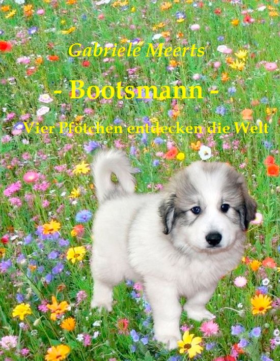 Bootsmann - cover