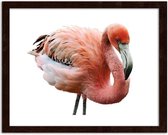 Foto in frame Roze flamingo, 3 maten, Premium print